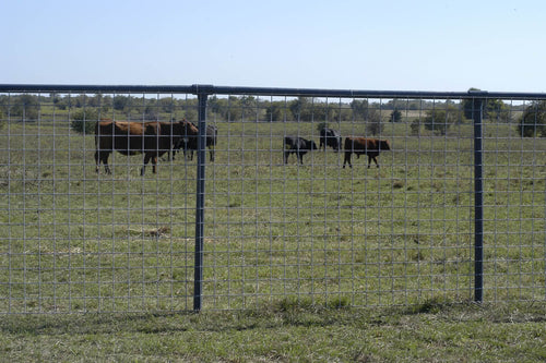 Oklahoma Steel & Wire 4×4 Utility Panels – 6- Gauge